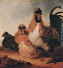 Aelbert Cuyp Rooster and Hens painting